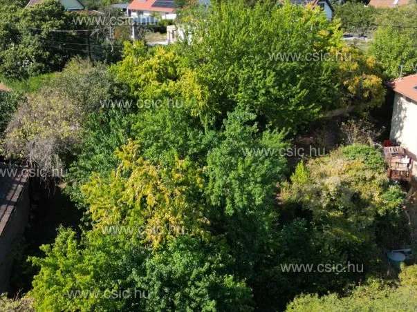 Eladó telek Budakalász 960 nm
