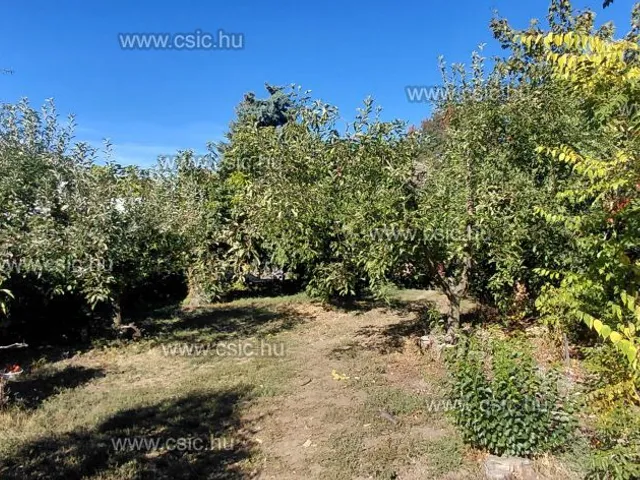 Eladó ház Vác 139 nm