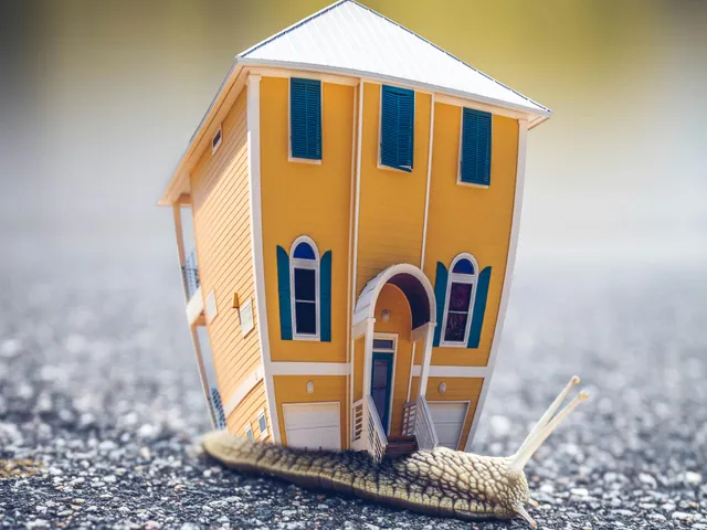 Eladó kereskedelmi és ipari ingatlan Nyíregyháza, Belváros 31 nm