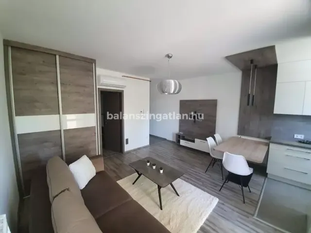 Kiadó lakás Nyíregyháza, Malomkert, Zászlós 46 nm