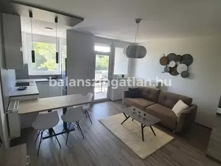 Kiadó lakás Nyíregyháza, Malomkert, Zászlós 46 nm