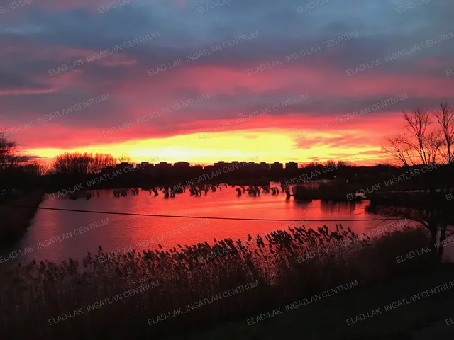 Kiadó lakás Nyíregyháza, Belváros 120 nm