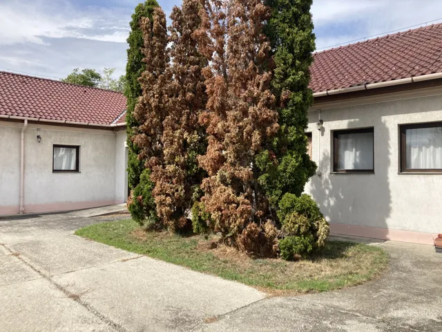 Eladó telek Győr, Ménfőcsanak, Győri út 797 nm