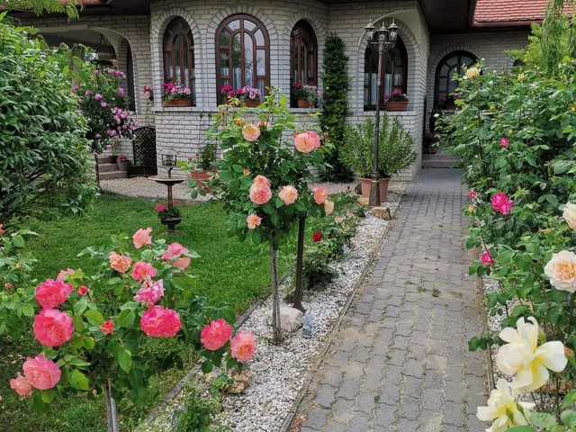 Eladó ház Nyúl 160 nm
