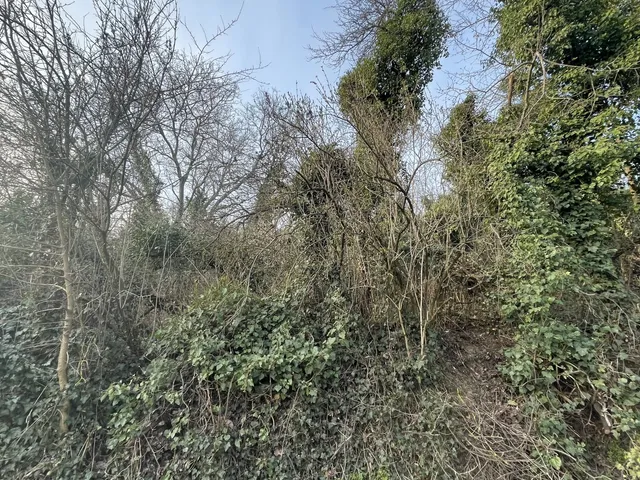 Eladó mezőgazdasági ingatlan Nyúl 5039 nm