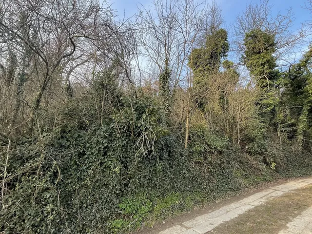 Eladó mezőgazdasági ingatlan Nyúl 5039 nm