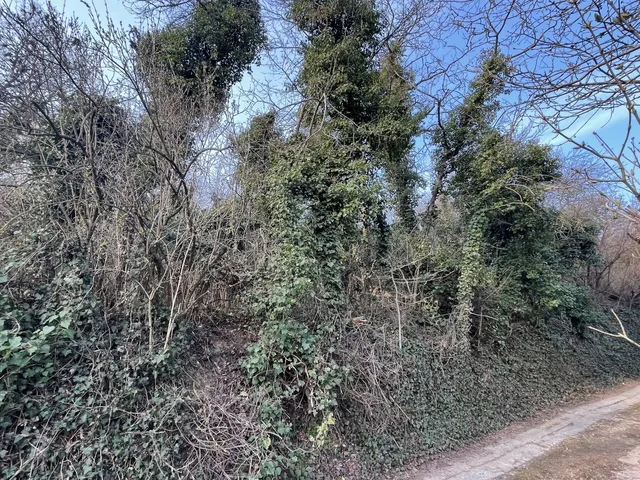 Eladó mezőgazdasági ingatlan Nyúl 5039 nm