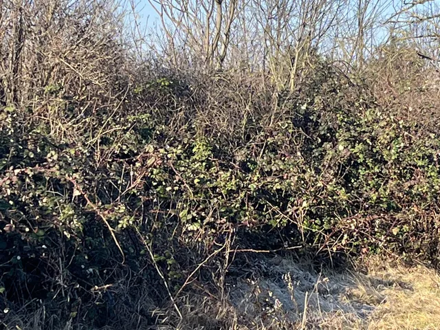 Eladó telek Győr, Szabadhegy 1384 nm