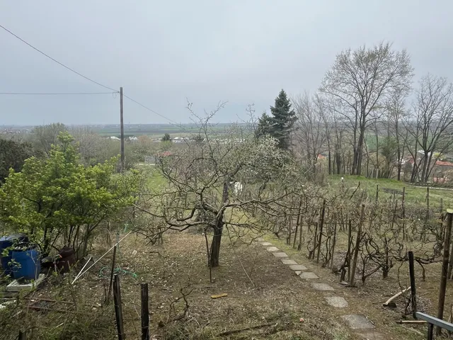 Eladó mezőgazdasági ingatlan Győrújbarát 1140 nm