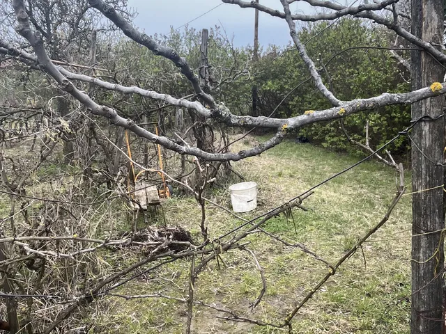 Eladó mezőgazdasági ingatlan Győrújbarát 1140 nm