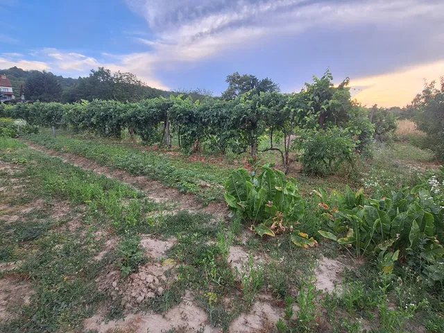 Eladó telek Győrújbarát 2842 nm