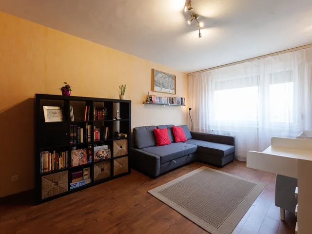 Eladó lakás Budapest X. kerület, Téglagyárdűlő, Somfa köz 35 nm