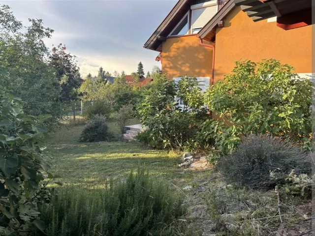 Kiadó ház Budakalász, Ófalu, Damjanich 153 nm