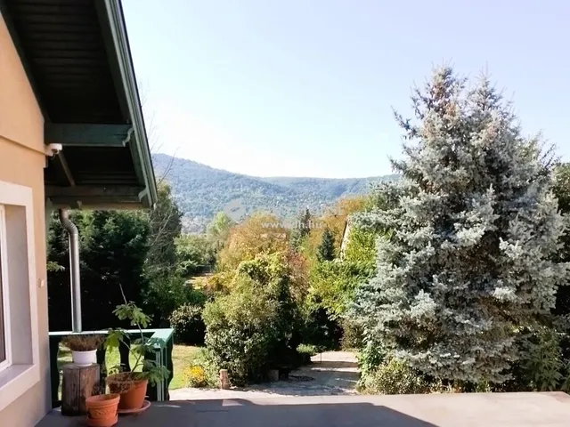 Eladó ház Visegrád 251 nm