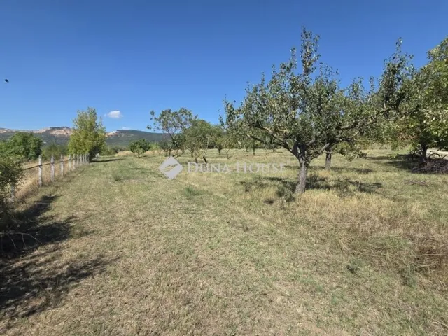 Eladó telek Vác 11139 nm