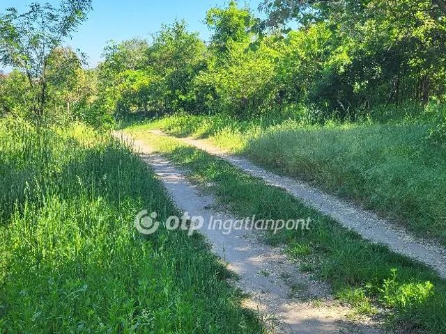 Eladó telek Solymár 550 nm