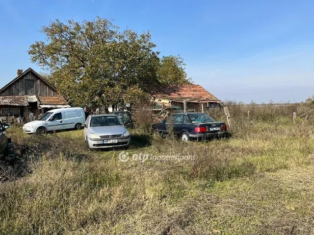 Eladó telek Dömsöd 19240 nm