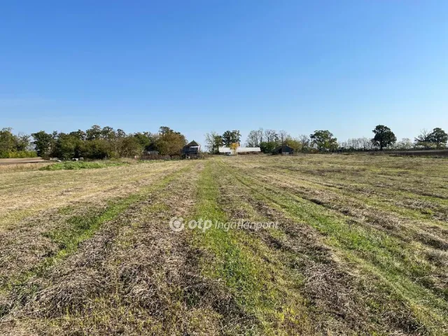 Eladó telek Dömsöd 19240 nm