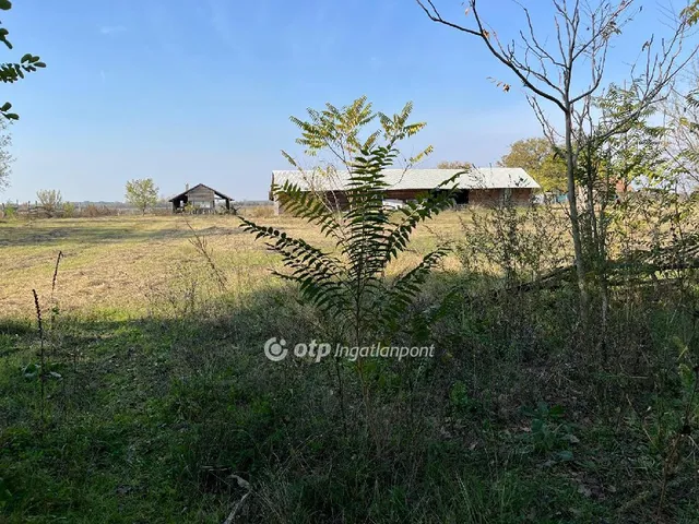 Eladó telek Dömsöd 19240 nm