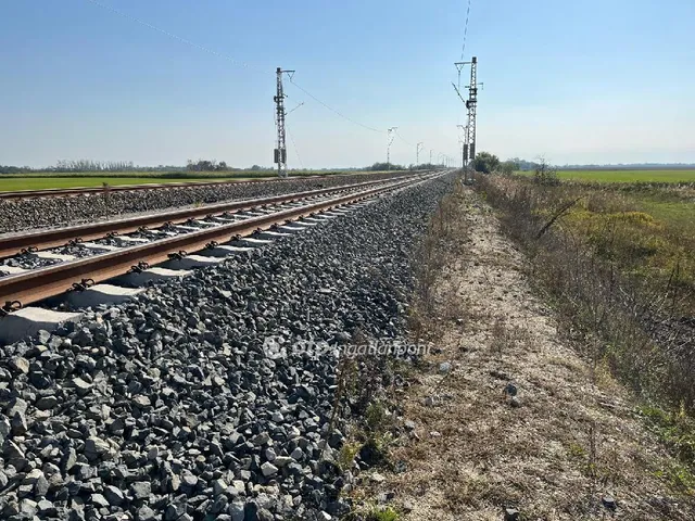 Eladó telek Dömsöd 19240 nm