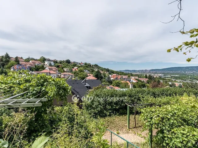 Eladó ház Budapest XXII. kerület, Budafok-Rózsavölgy 367 nm