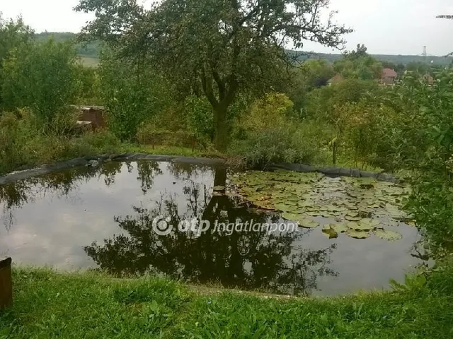 Eladó ház Mende, Pusztaszentistván 110 nm