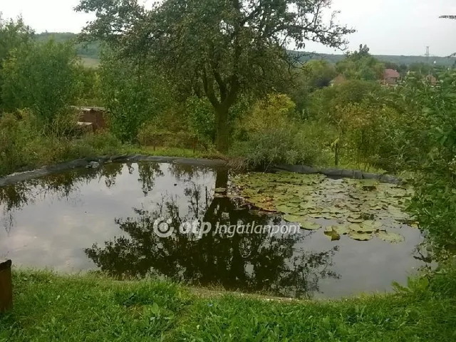 Eladó ház Mende, Pusztaszentistván 110 nm
