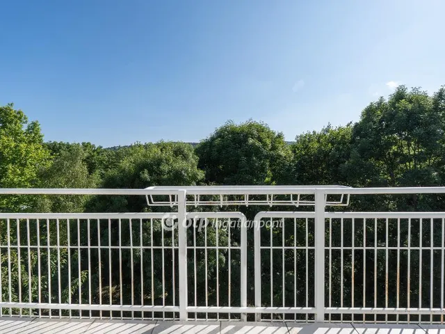 Eladó lakás Budapest II. kerület, Törökvész 215 nm