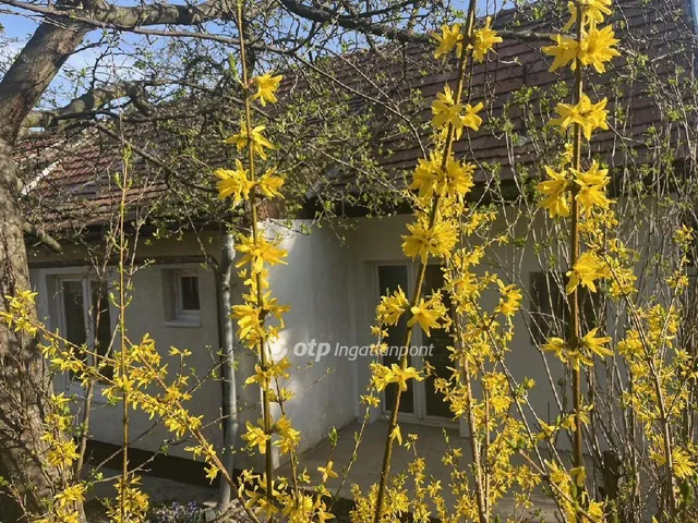 Eladó ház Budakeszi 106 nm