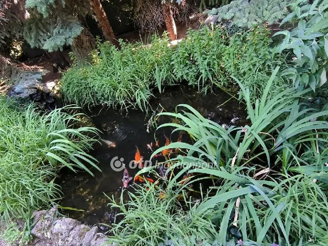 Eladó ház Budapest XXII. kerület, Budatétény 260 nm