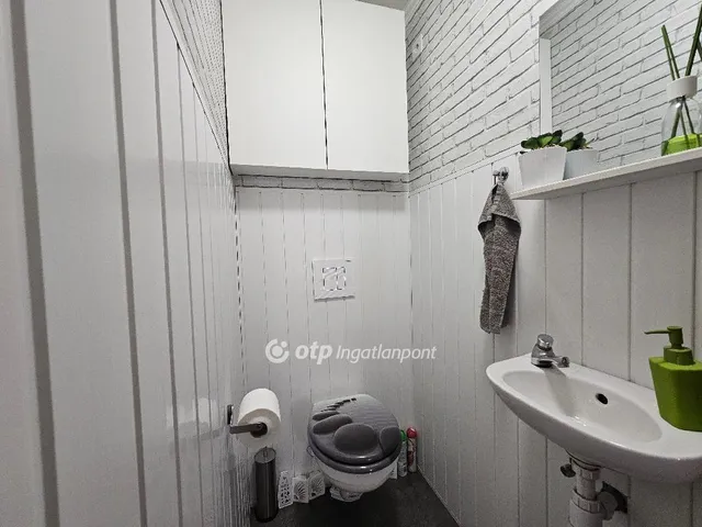 Eladó ház Gyál, Gyálszőlő 217 nm