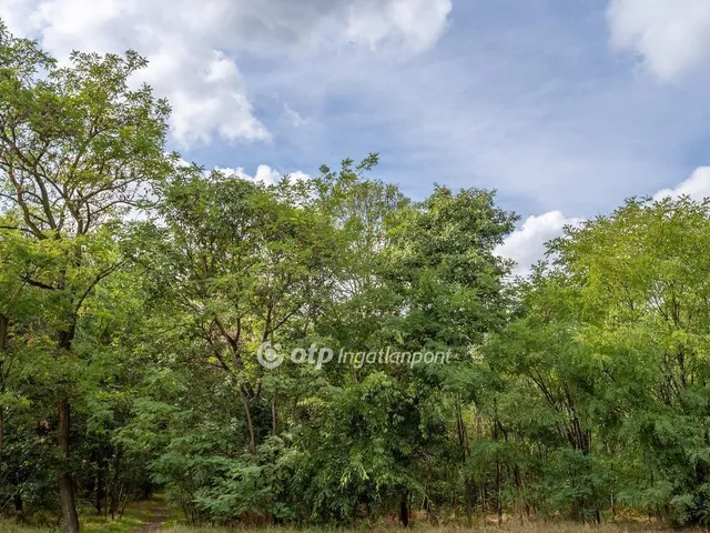 Eladó lakás Budapest XVIII. kerület, Halomi úti ltp 91 nm