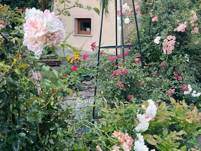 Eladó ház Diósd 260 nm