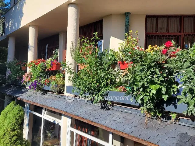 Eladó lakás Budapest XII. kerület, Széchenyi-hegy 262 nm