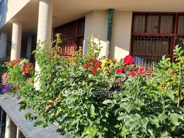 Eladó lakás Budapest XII. kerület, Széchenyi-hegy 262 nm