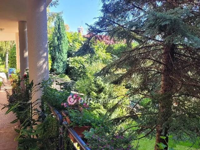 Eladó lakás Budapest XII. kerület, Széchenyi-hegy 262 nm