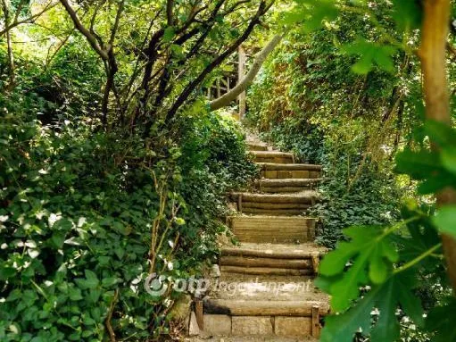 Eladó lakás Budapest II. kerület, Hárshegy 96 nm