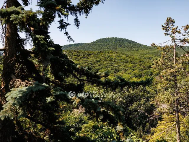 Eladó lakás Budapest II. kerület, Hárshegy 96 nm