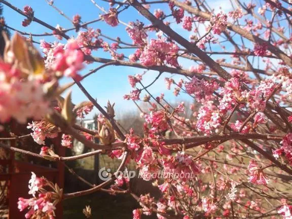 Eladó ház Érd 107 nm