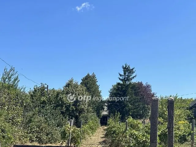 Eladó üdülő és hétvégi ház Lepsény 38 nm