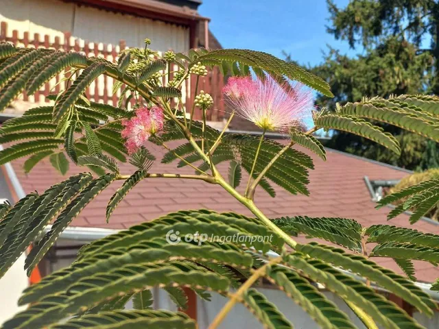 Eladó ház Budapest III. kerület, Testvérhegy 240 nm