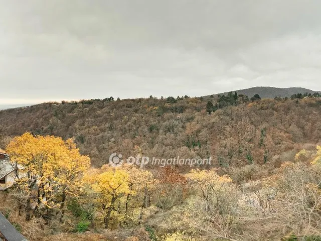 Eladó lakás Budapest XII. kerület, Farkasvölgy 145 nm