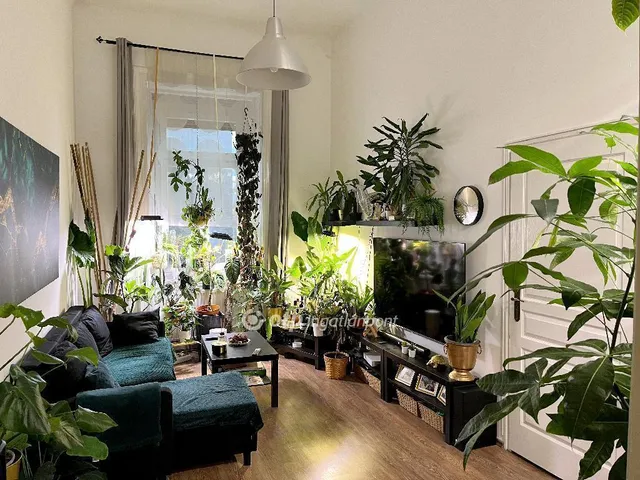 Eladó lakás Budapest II. kerület 56 nm