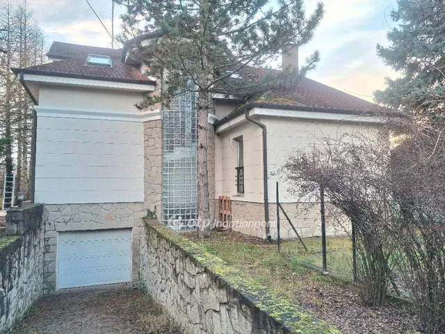 Eladó ház Kisoroszi 333 nm