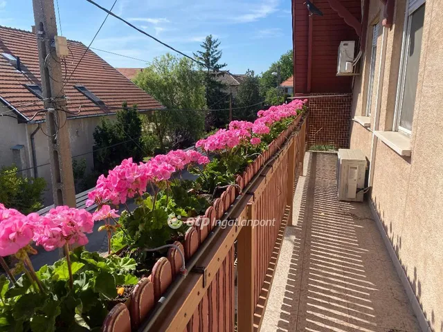 Eladó ház Budapest XXI. kerület 292 nm