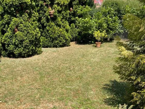 Eladó ház Pomáz 170 nm