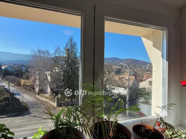 Eladó ház Dunabogdány 268 nm