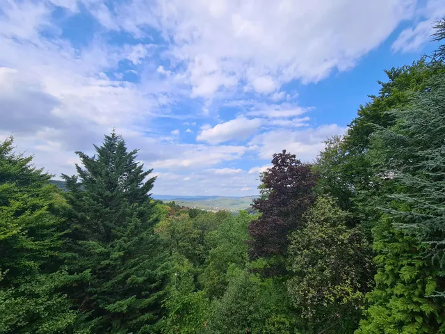 Eladó ház Budapest XII. kerület, Svábhegy, Mátyás király út 54/B 650 nm