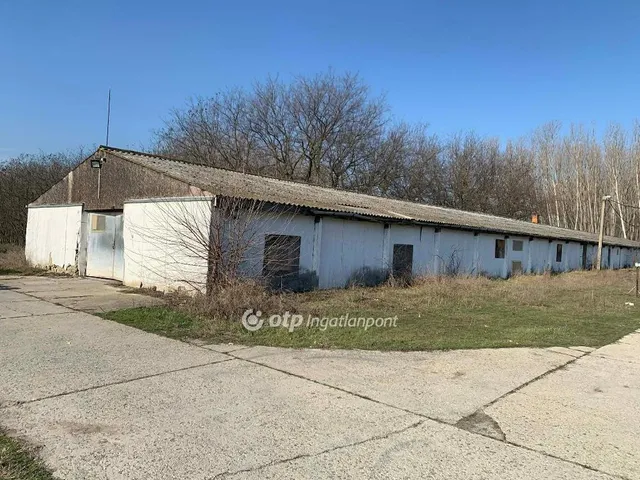 Kiadó kereskedelmi és ipari ingatlan Bugyi 1000 nm