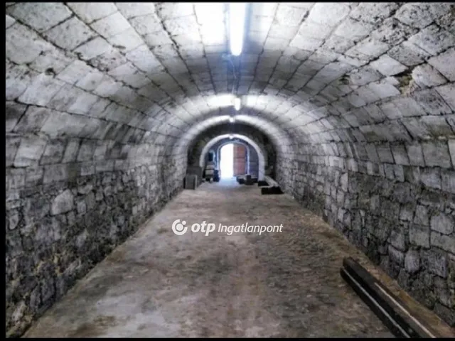 Eladó üdülő és hétvégi ház Lepsény 38 nm